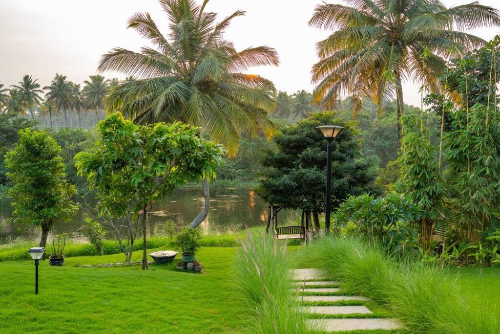 Villa Woods & Palms Поллачи Экстерьер фото