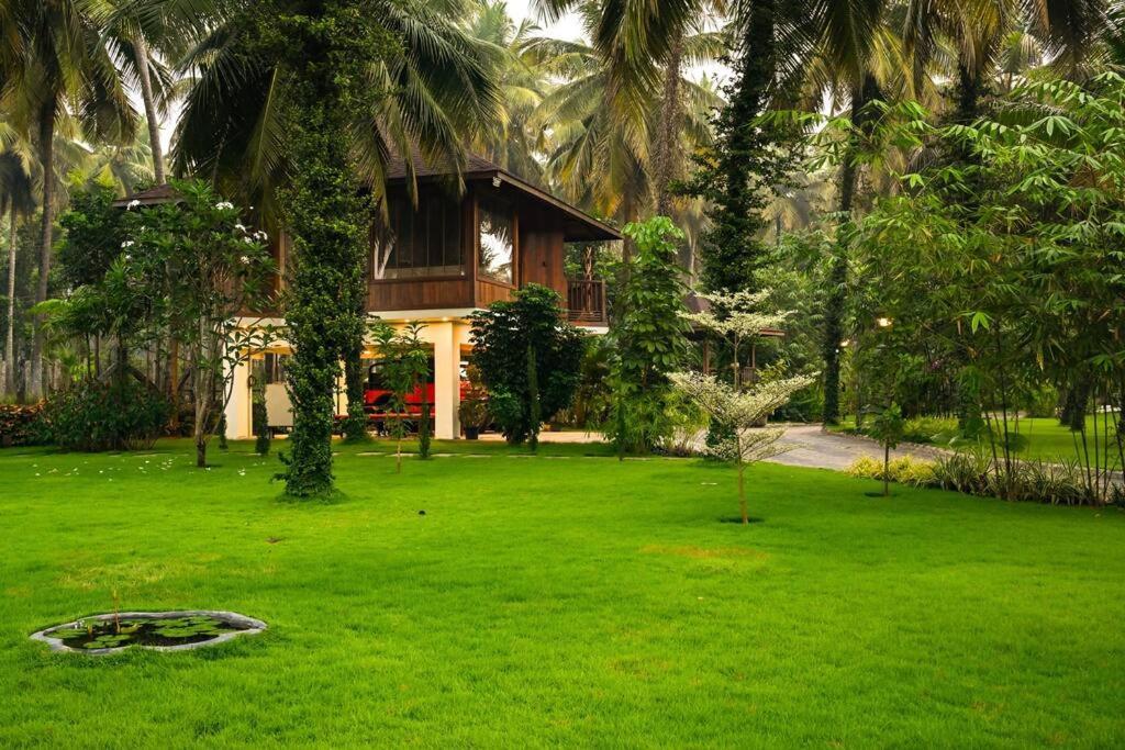 Villa Woods & Palms Поллачи Экстерьер фото